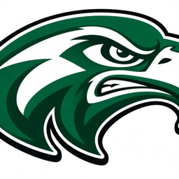 WTX Hawks logo